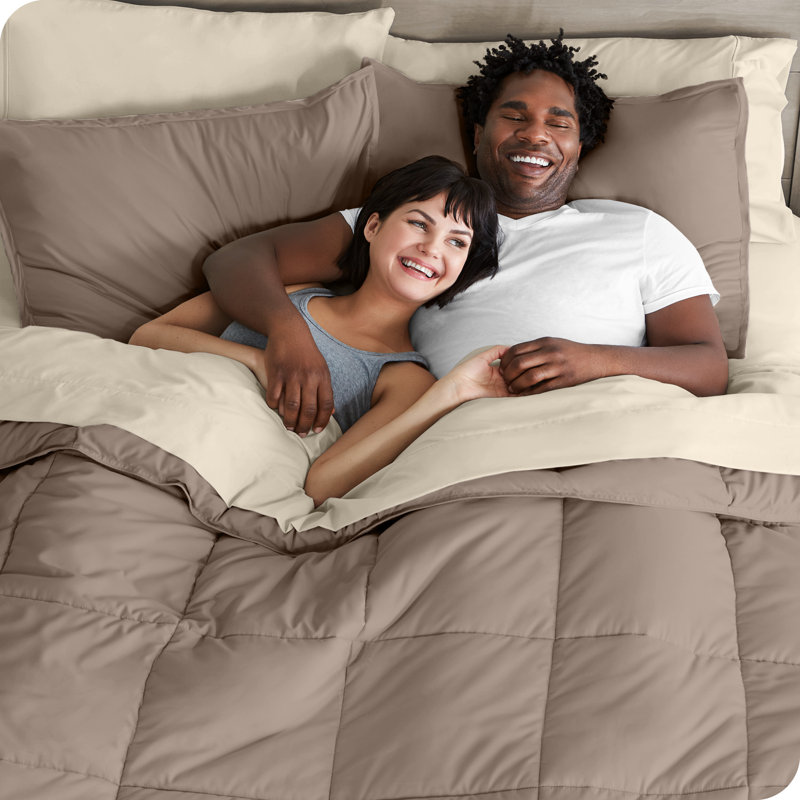 Microfiber Bed-In-A-Bag, Queen Comforter + 6 Additional Pieces, Taupe/Sand