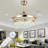 Jaasir 43'' Ceiling Fan with LED Lights