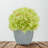 Synthetic Fabric Burgundy Hydrangea Arrangement in Planter-1148570087-1079741319