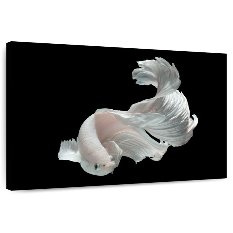 Brampt White Betta Fish, 30" H x 45" W