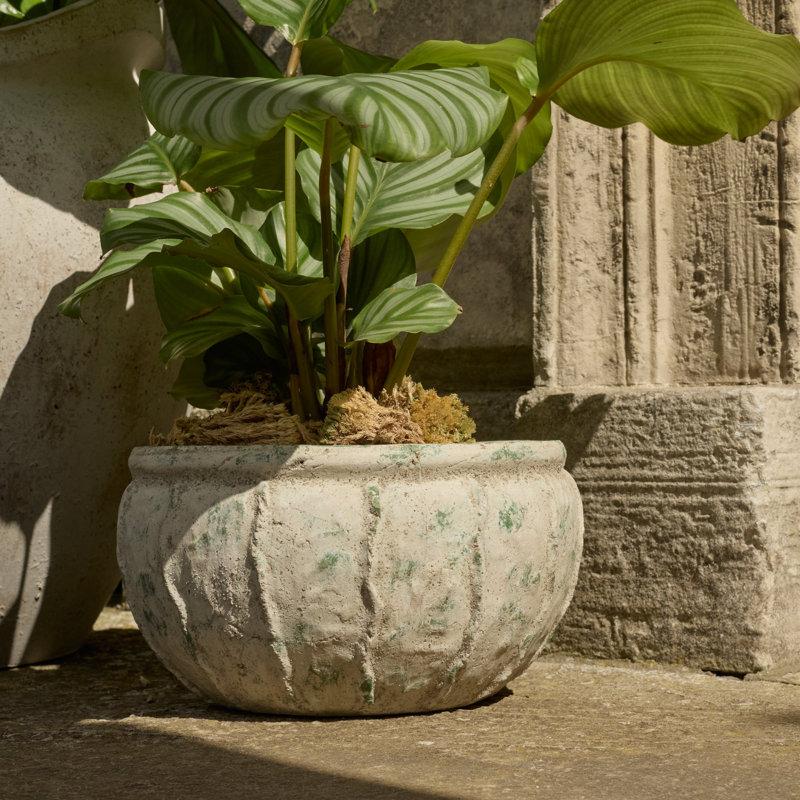 Planter
