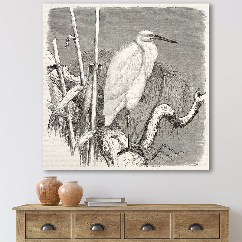 Petit oiseau aigrette - reproduction de dessin sur toile, Toile tendue, H 36 po x l 36 po x P 1,5 po