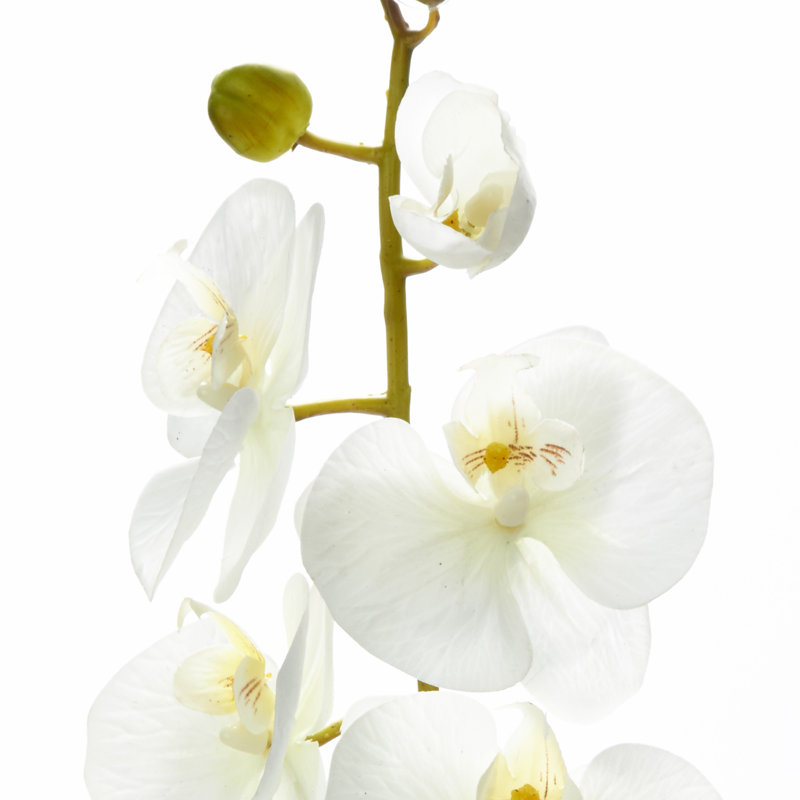 Vaporisateur d'orchidée artificielle, Blanc