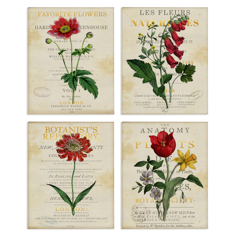 Ensemble de 4 reproductions d'art sur toile, "Vintage Flowers over Antique Pages", par Susan Arnot, H 14 po x l 11 po