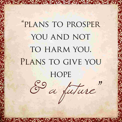 " The Plans For You 3 "