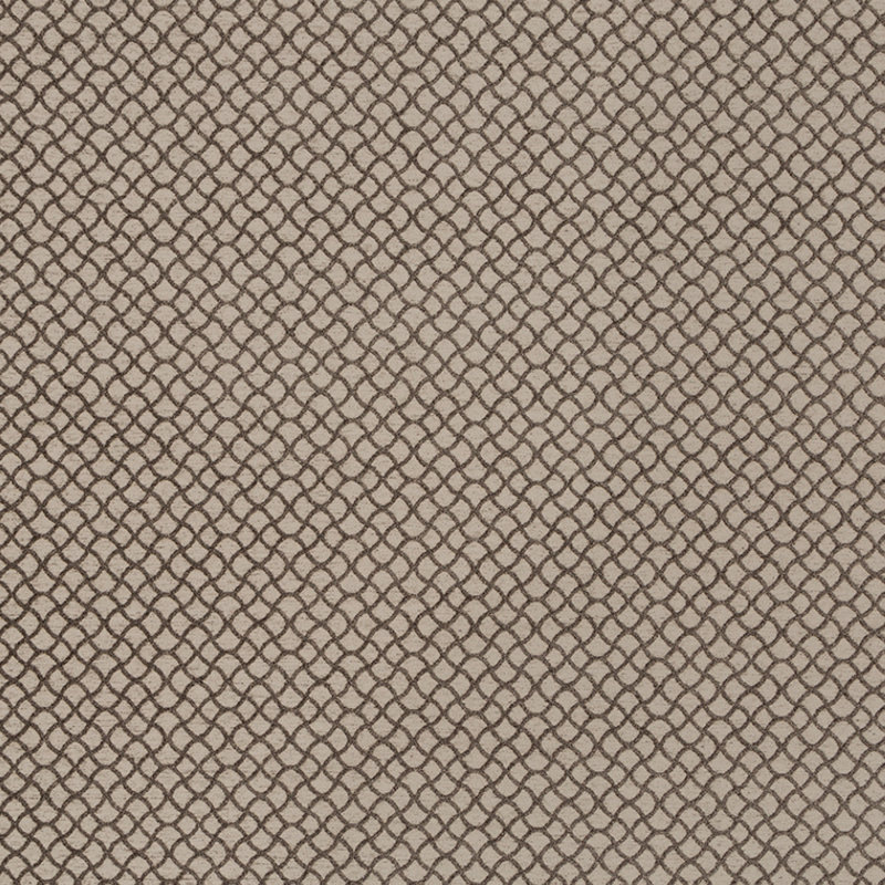 Tissu d'épicerie gothique épicurien, Truffe