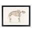 Mammoth Skeleton by Charles d Orbigny - Framed Print-55576647-55576644