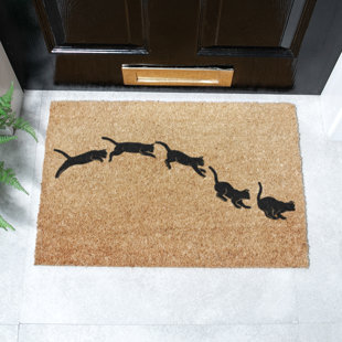 Non-Slip Indoor/Outdoor Doormat