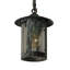 Fulton 1 - Light Pendant