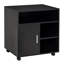 Omarionna 60cm Wide File Cabinet-939796771