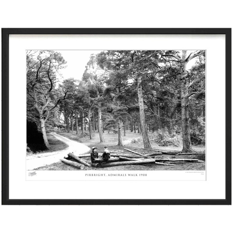 Pirbright, Admirals Walk 1908 by Francis Frith - Single Picture Frame Print, 45cm H x 60cm W x 2.3cm D
