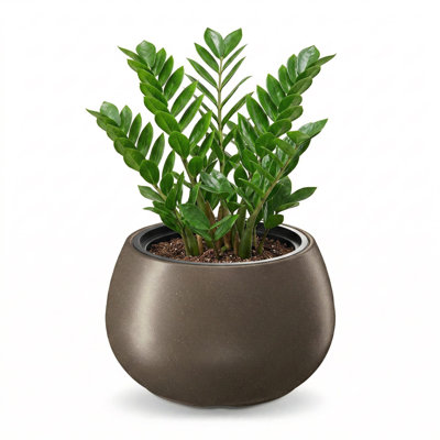 Pot Planter