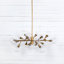 Pellman 18 - Light Chandelier-1276355644