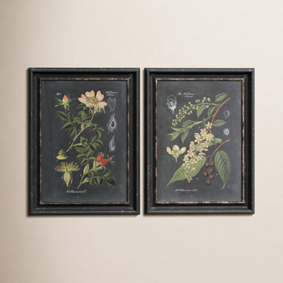 Bergenfield "Midnight Botanicals" Print Set