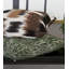 Housse de coussin carré et insert