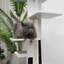Arbre à chat 45 po