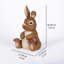 LAPIN ASSIS AVEC COCCINELLE