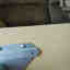 Customer photo 3 of 4