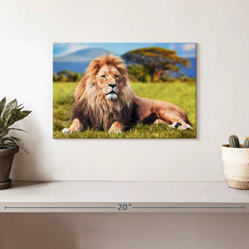 Lion Chill Safari, H 8 po x l 12 po