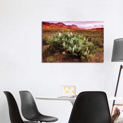 Chisos Mountains with Prickly Pear Cactus I 1 Piece Wrapped Canvas Wall Art