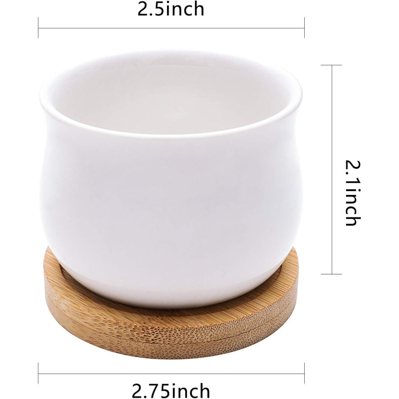 Ensemble de 8 mini pots à succulence en céramique blanche (2,6 po) avec plateaux en bambou