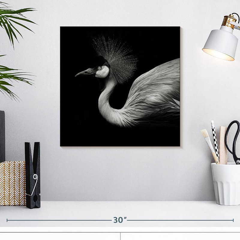 Brampt Black And White Crane