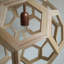 Aves 1 - Light Oil Pendant