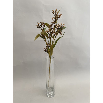 Vaporisateur de baies d'eucalyptus brun