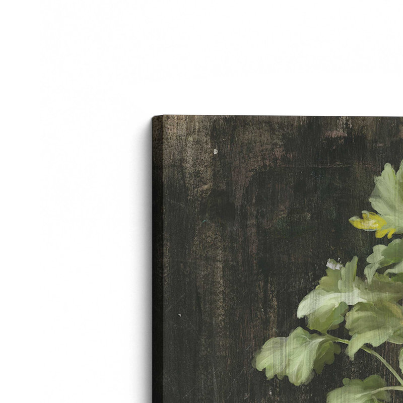 «Rustic Herbs I» par Danhui Nai, reproduction d'art, L 12 po x H 12 po, Ne s’applique pas, Toile non encadrée