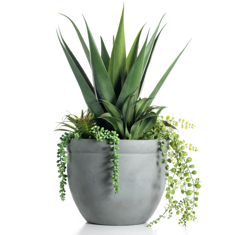 Aaru 67cm Faux Agave Succulent