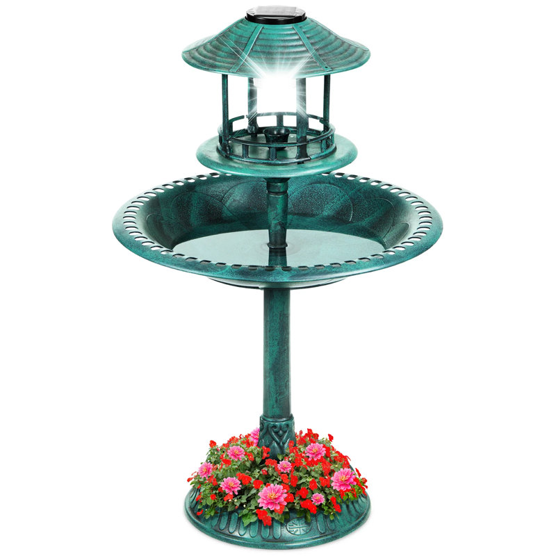Bain d'oiseaux, Green
