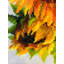  Kit de point de croix compté Hot Summer R1488