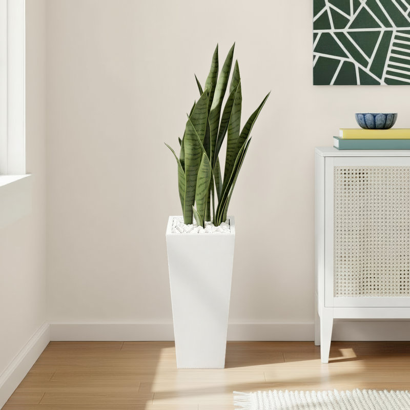 Emele 48'' Faux Succulent in Stone Planter