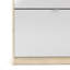Shoes 12 Pair Shoe Storage Cabinet