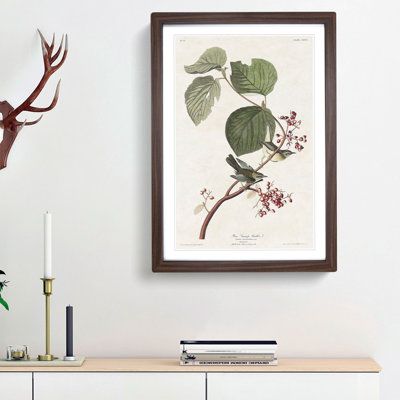 Pine Swamp Warbler by John James Audubon - Picture Frame Painting Print