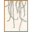 Peregrina I Giclee Print by Susan Hable