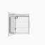 Miroir pour armoire à pharmacie à fixation en surface l 28 po x H 20 po Darnby