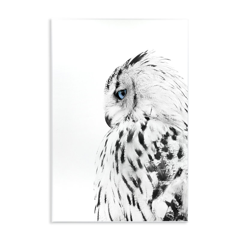  Art mural hibou avec regard bleu fort par Design Fabrikken, H 15 po x l 10 po