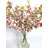 Orchid Arrangement in Vase