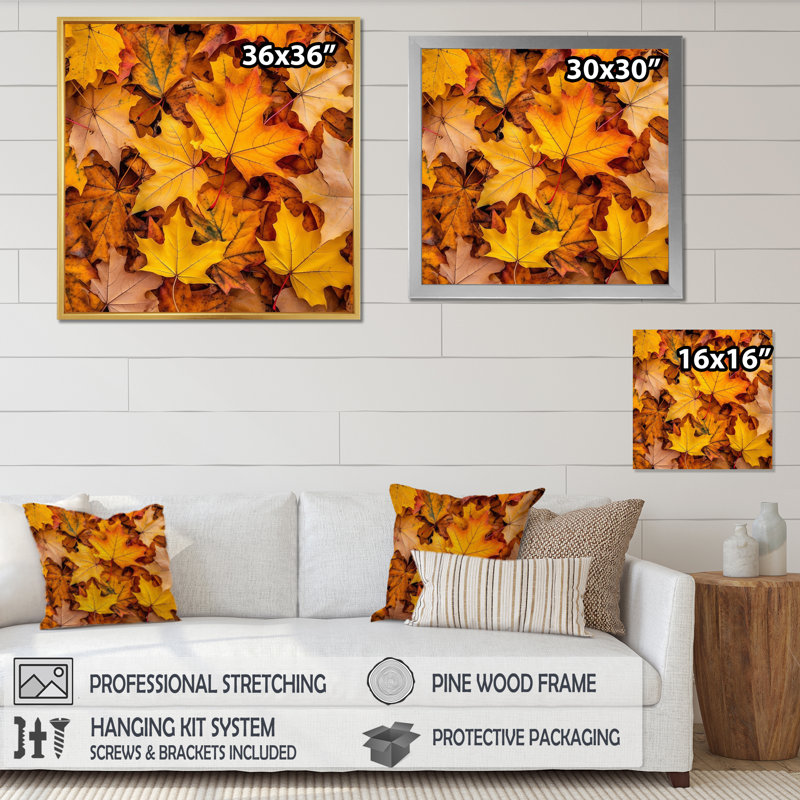 «Canadian Mapple Tree Leaves I», reproduction sur toile canadienne, H 36 po x l 36 po x P 1,5 po, Toile tendue