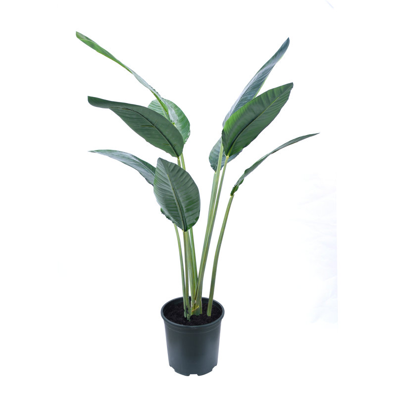 Arbre à oiseaux Bird of Paradise, H 51 po x l 32 po x P 32 po