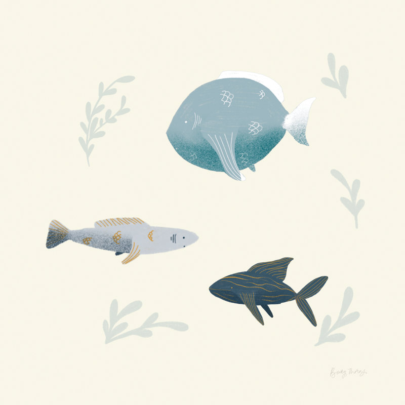 Ocean Life Fish by Becky Thorns - Wrapped Canvas Print, 30cm H x 30cm W
