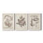 Midnight Tulip III - Ensemble de 3 cadres photo sur toile-856270420-856270423