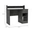 Manaos Writing Computer Desk , Multiple Shelves, One Drawer