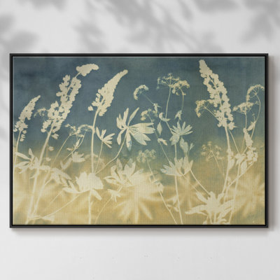 " Solstice Lupine "