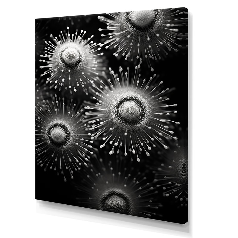 «Black and White Sea Urchin Symphony», reproduction sur toile de plage et océan, Toile tendue, H 44 po x l 34 po x P 1,5 po