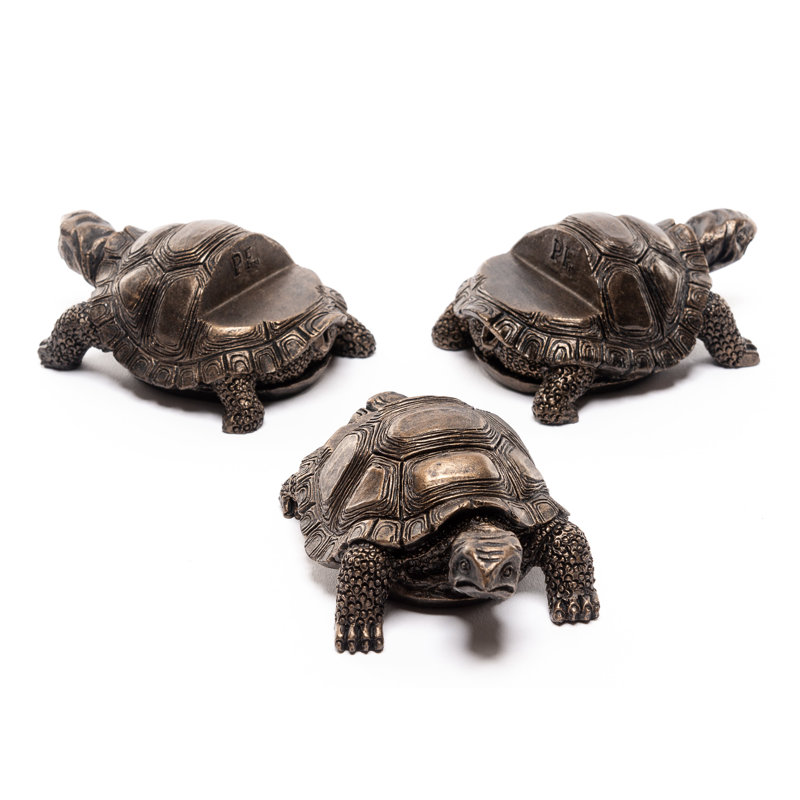 Pieds de jardinière tortue de couleur bronze dans une boîte cadeau