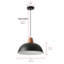 Luminaire suspendu conique à 1 lumière Bernyce-1356188216-1356188222