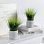 22.86cm Faux Onion Grass Grass