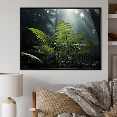Ferns Close up Photo VII - Print